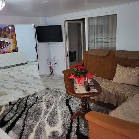 Apartament Apartament Cu Terasa Si Gratar Satu Mare Zewnętrze zdjęcie