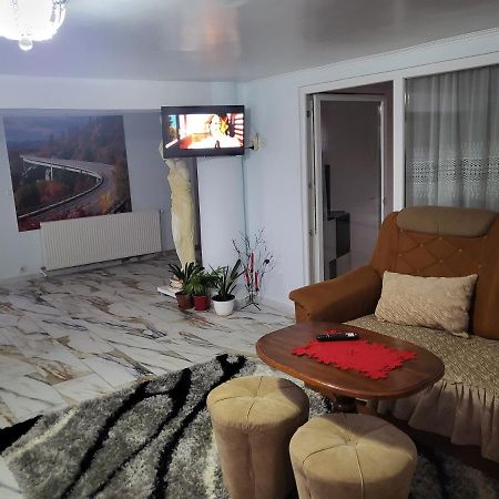 Apartament Apartament Cu Terasa Si Gratar Satu Mare Zewnętrze zdjęcie