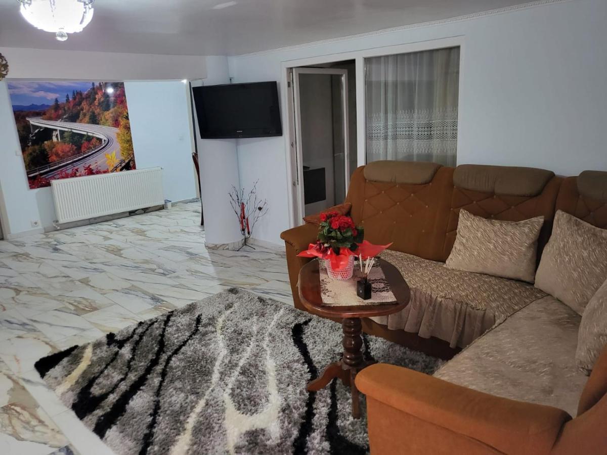 Apartament Apartament Cu Terasa Si Gratar Satu Mare Zewnętrze zdjęcie
