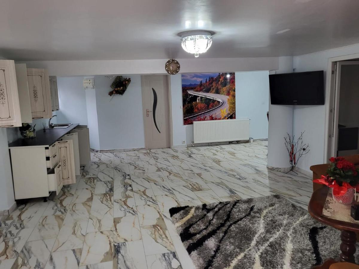 Apartament Apartament Cu Terasa Si Gratar Satu Mare Zewnętrze zdjęcie