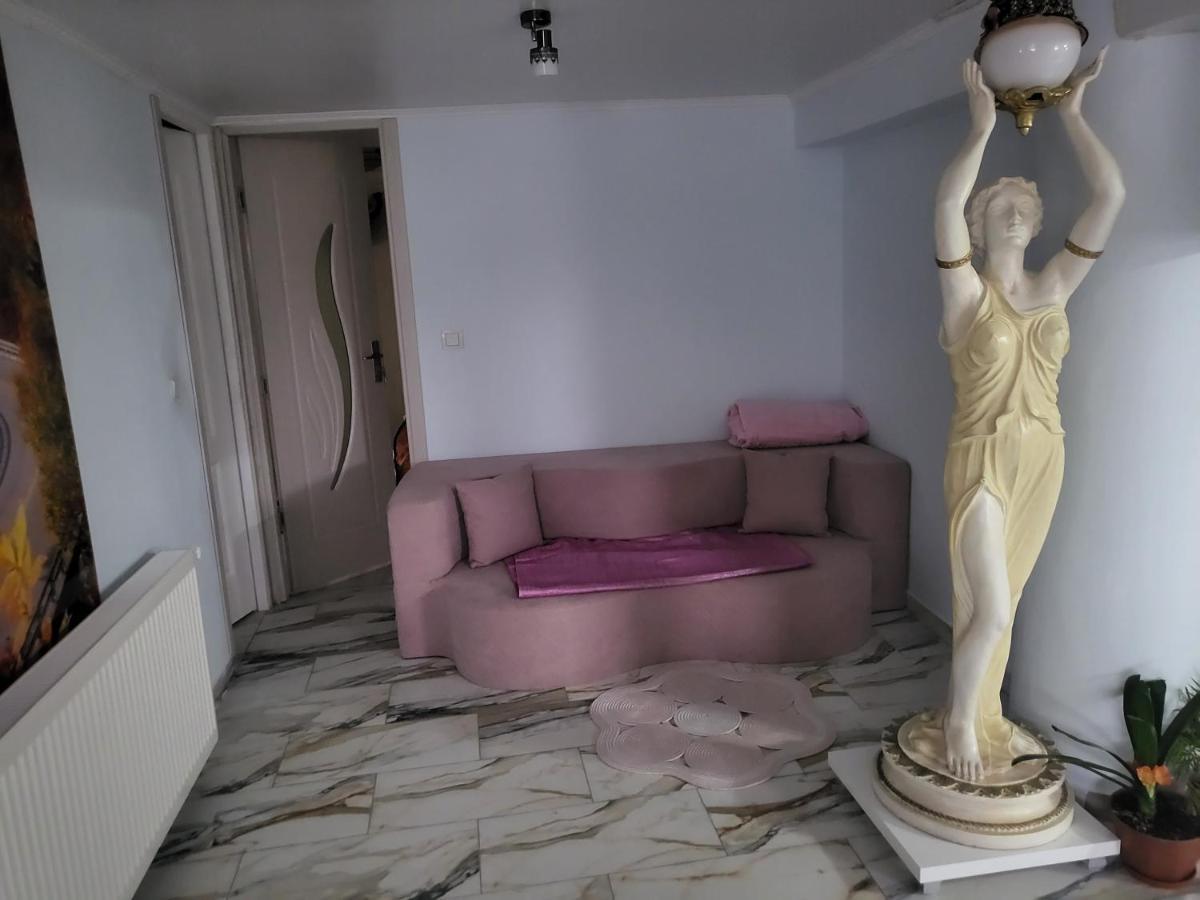 Apartament Apartament Cu Terasa Si Gratar Satu Mare Zewnętrze zdjęcie