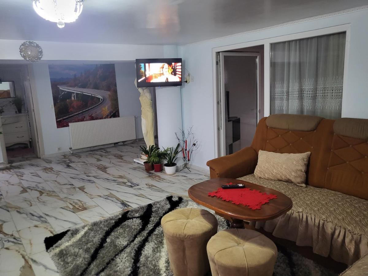Apartament Apartament Cu Terasa Si Gratar Satu Mare Zewnętrze zdjęcie